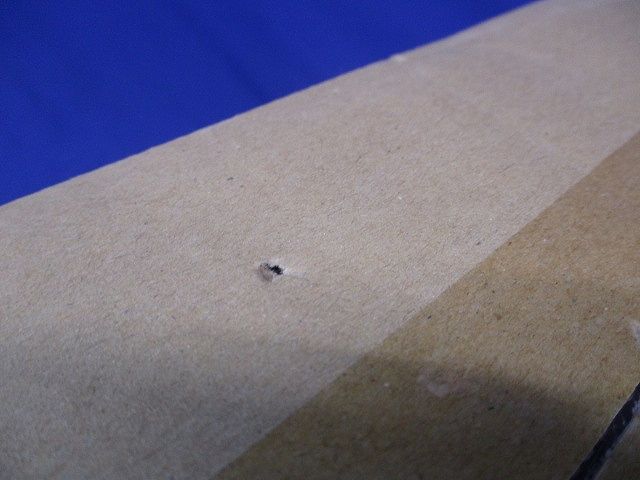 LEDダウンライト