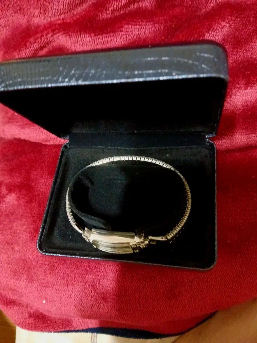 ベルナル Princess ヴィンテージ レディース 時計