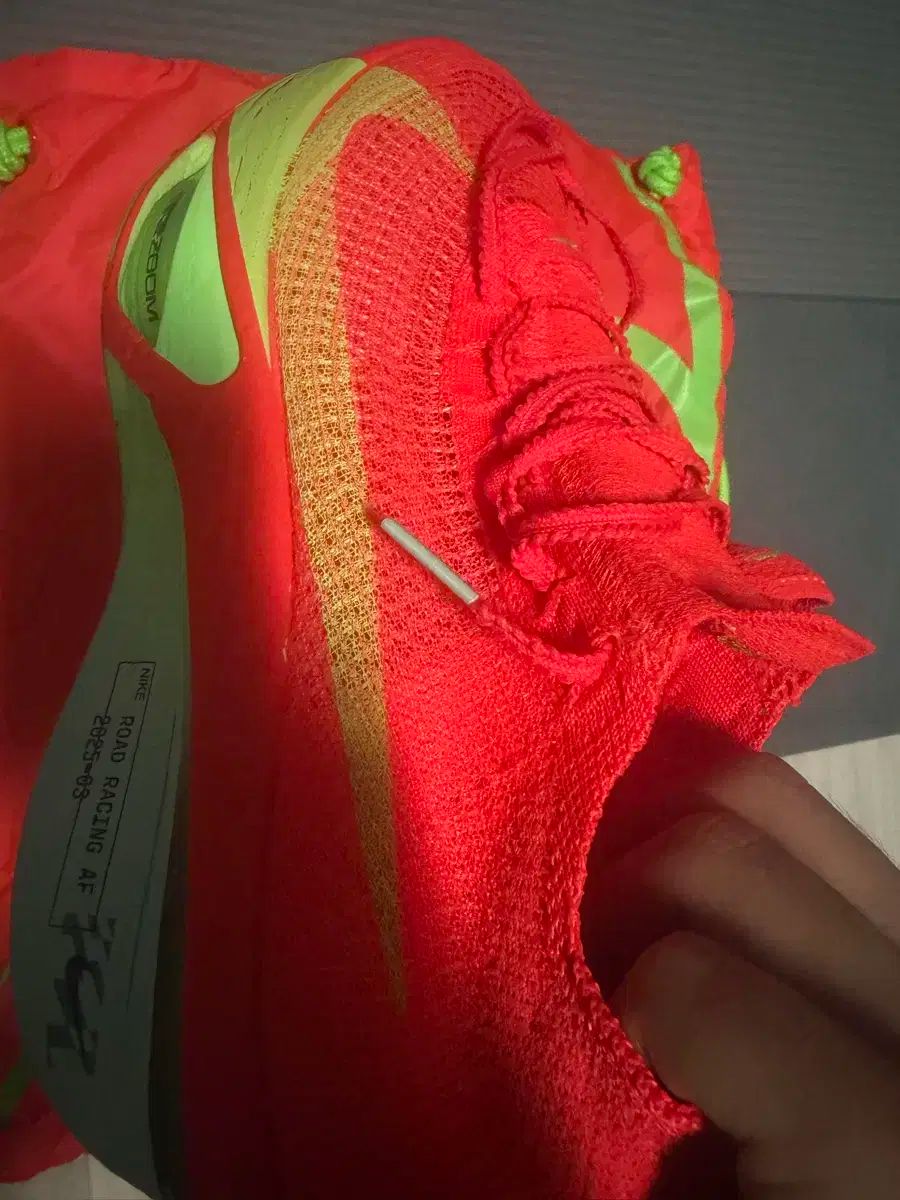 フライ ネクスト