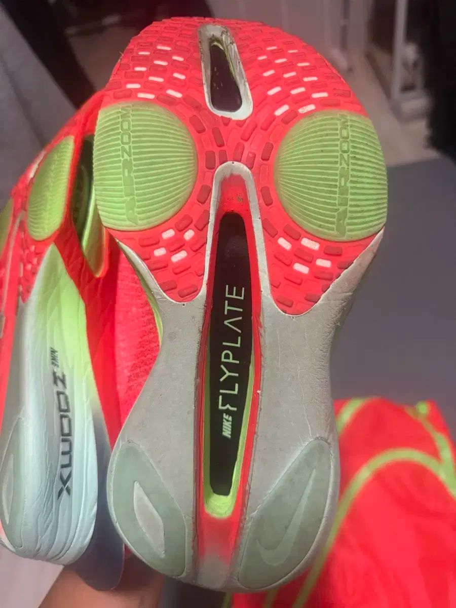 アルファ フライ