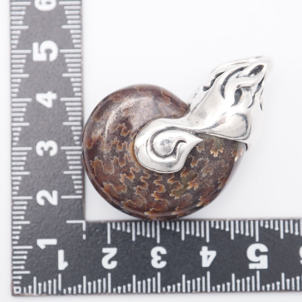 H129 アンモナイト ペンダント トップ デザイン シルバー チャーム ヘッド FORTGASGNV_COM_BR
