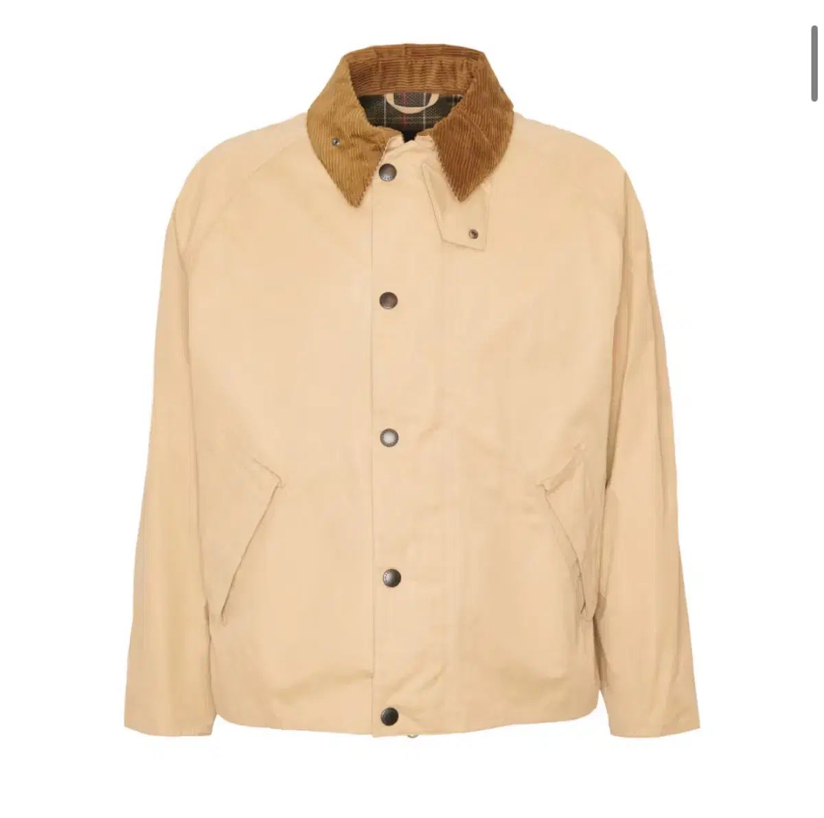 ユニセックス トランスポート