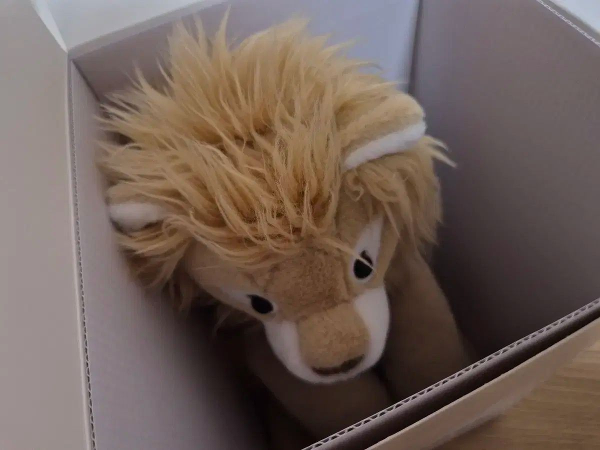 ボックス フルセット