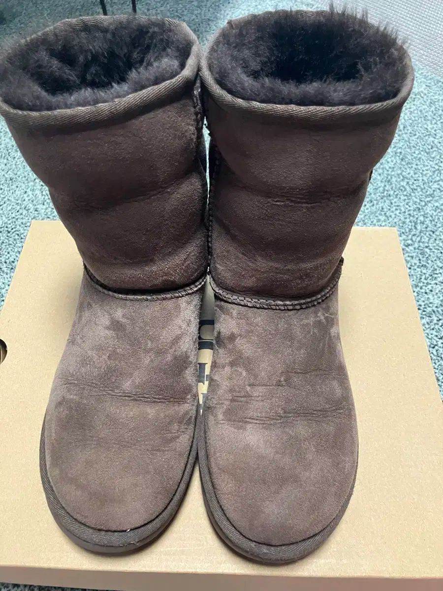 5W アグ Classic ショーツ 2 ブーツ チョコレート