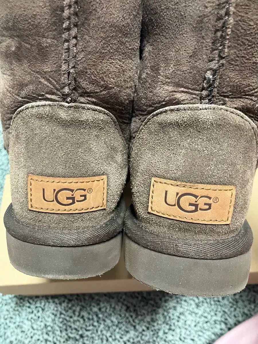  5 W アグ Classic ショーツ 2 ブーツ チョコレート その他 ブーツ