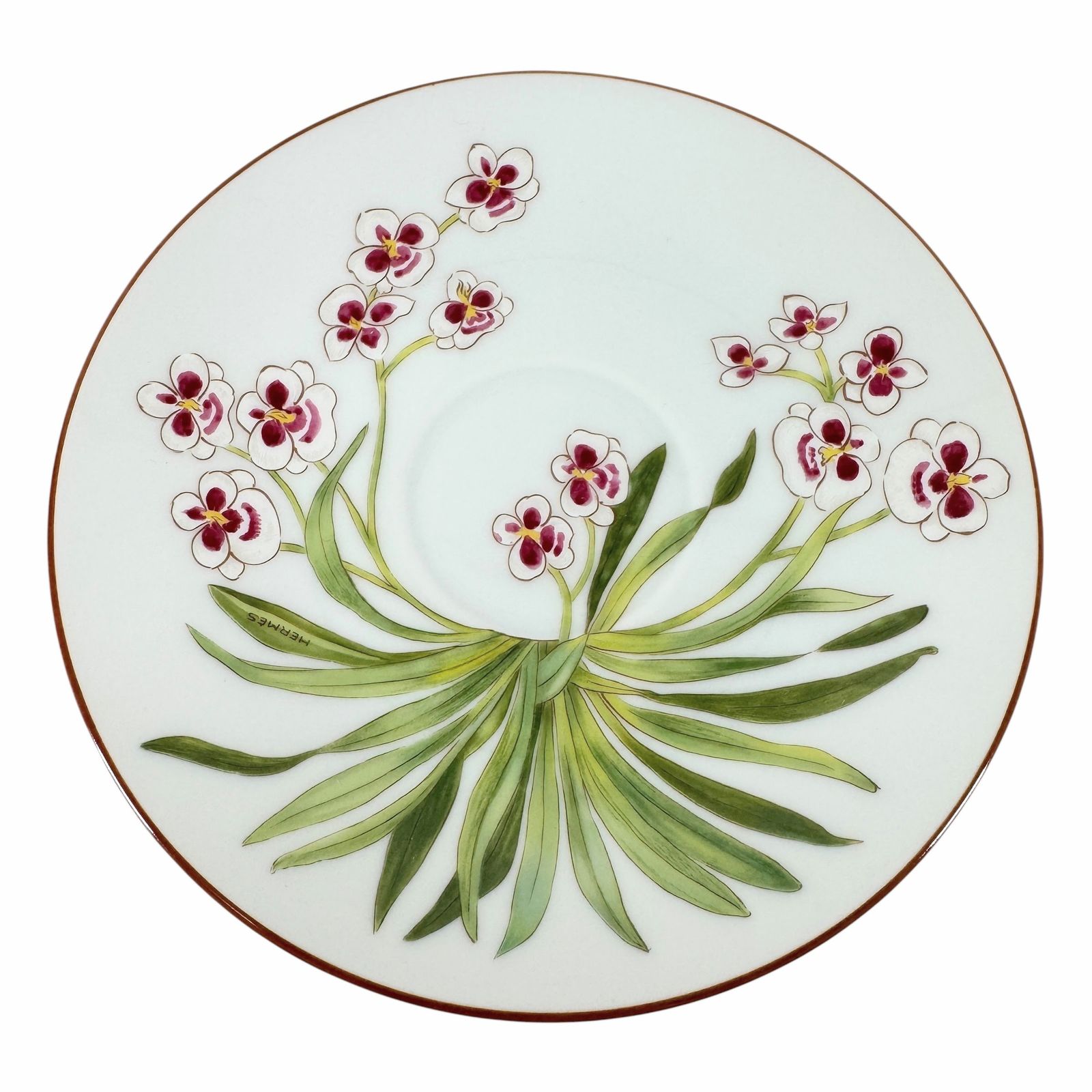 カップ ソーサー