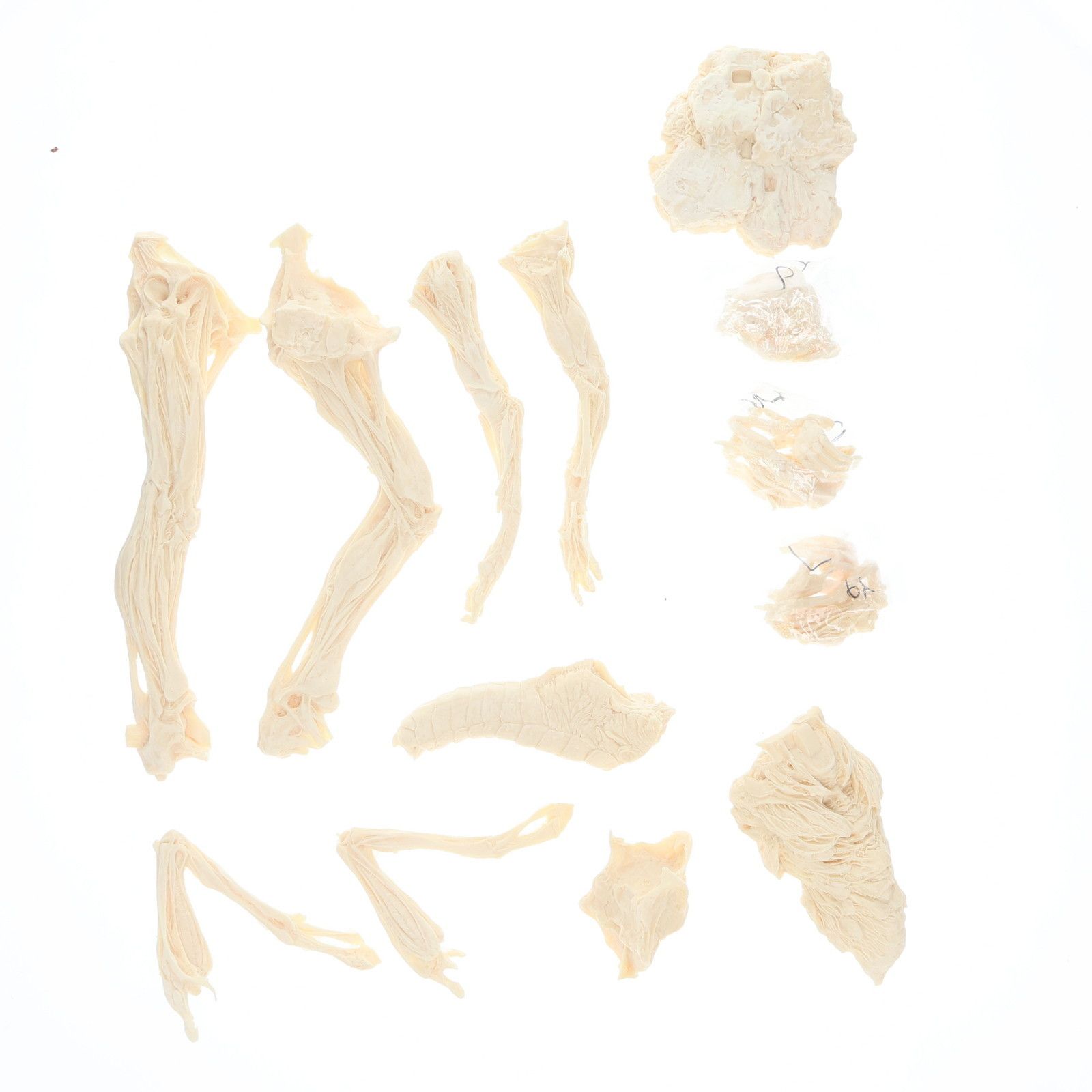 ガレージキット