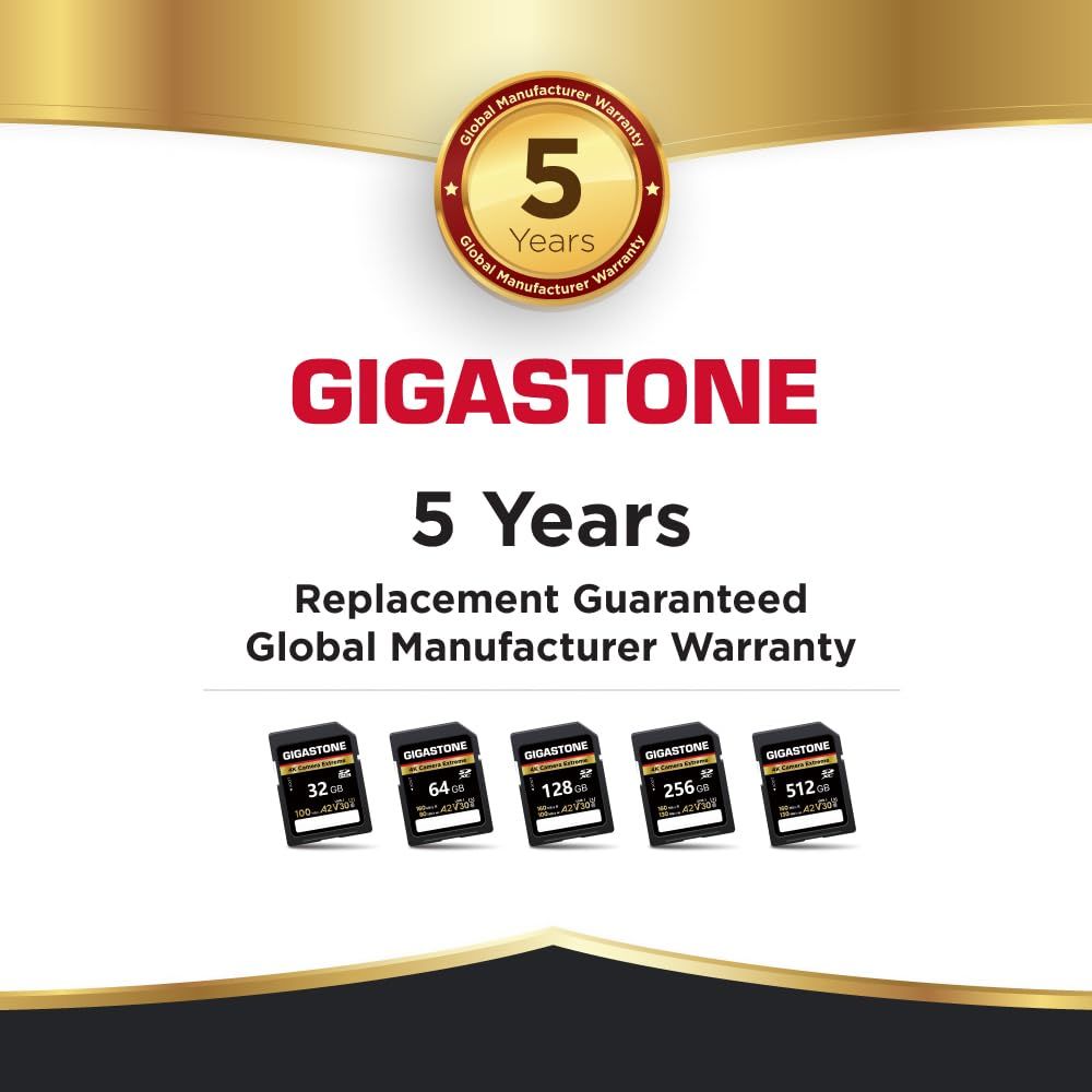 5年データ回復 GIGASTONE SDカード 256GB 4K Camera Extreme UHS-I A2 V30 U3 Class 10 SDXC 最大160MB|s 高速 4K UHD ビデオ Canon Nikon Sony Pen VETTDRUCK_DE