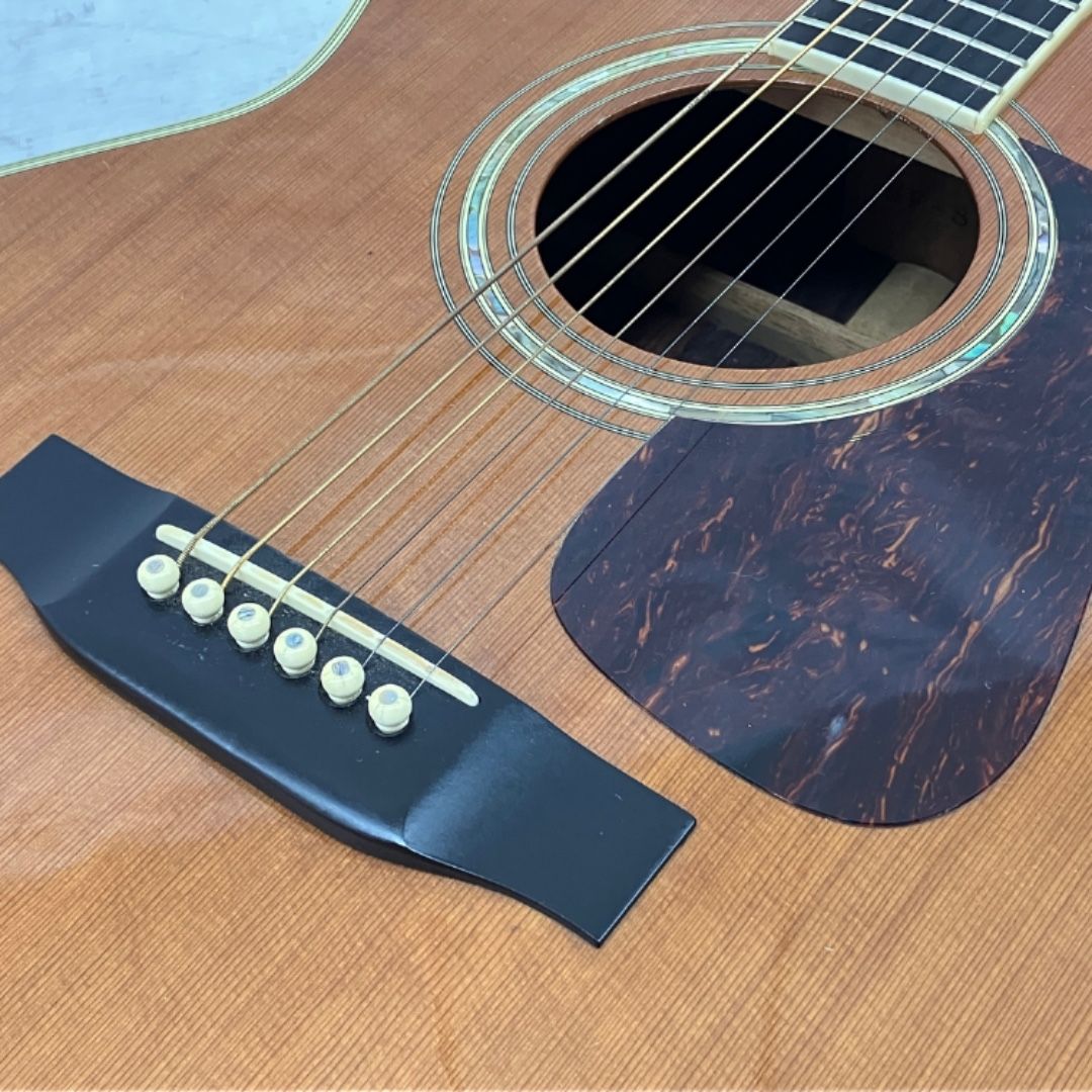 アコースティックギター 弦楽器