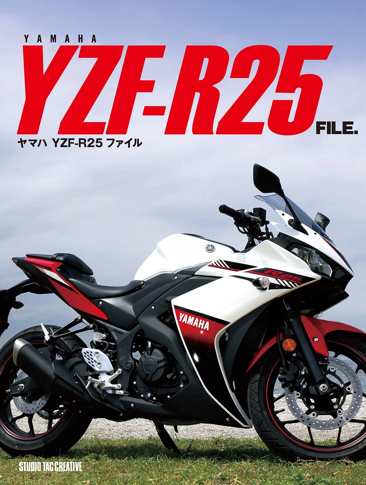 YAMAHA YZF-R25 FILE