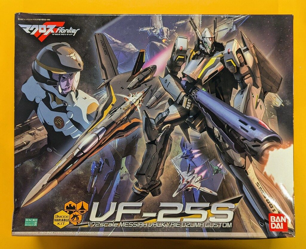 スペシャルオーダー】ミズノプロ ファーストミット 購入価格85,000円