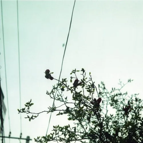 2025年最新】待ちくたびれて朝がくるの人気アイテム - メルカリ