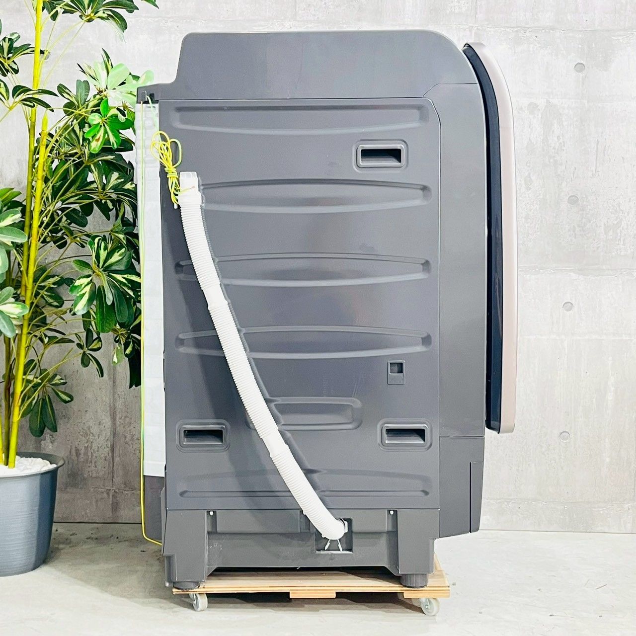 ♦️SHARP a4292 ドラム式洗濯機 11.0kg 2022年製 90♦️ - メルカリ