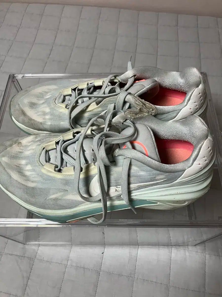 ジティーカット 2 265