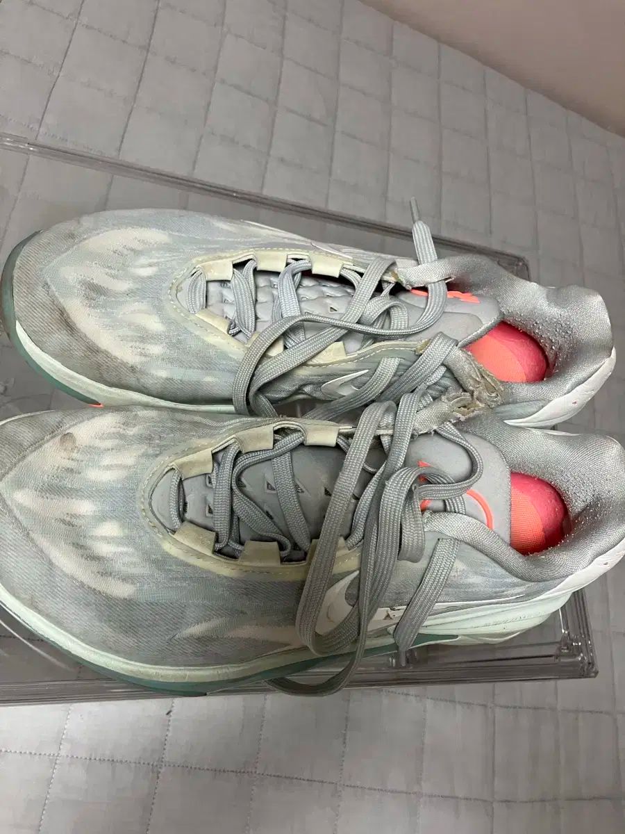 ジティーカット 2 265