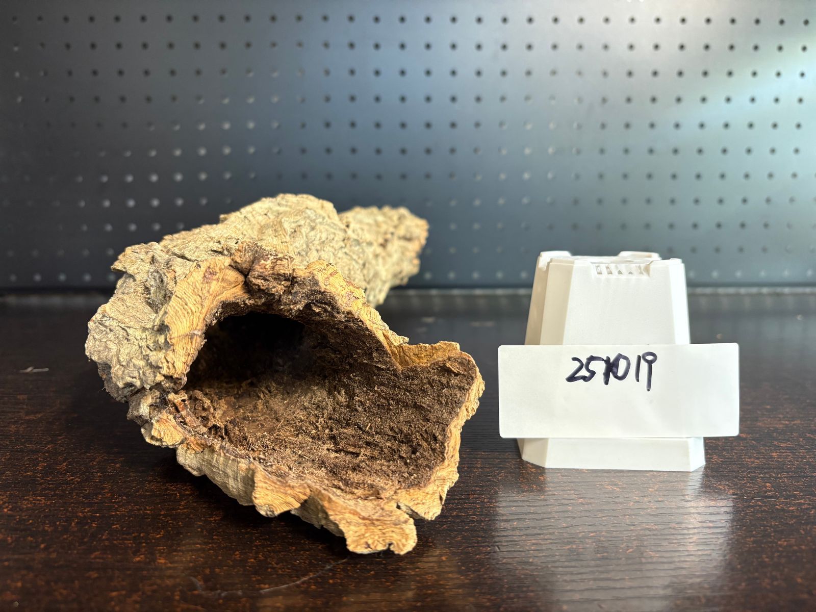 251019 ポルトガル産 キャノンコルク コルク樹皮 コルク板 バージン