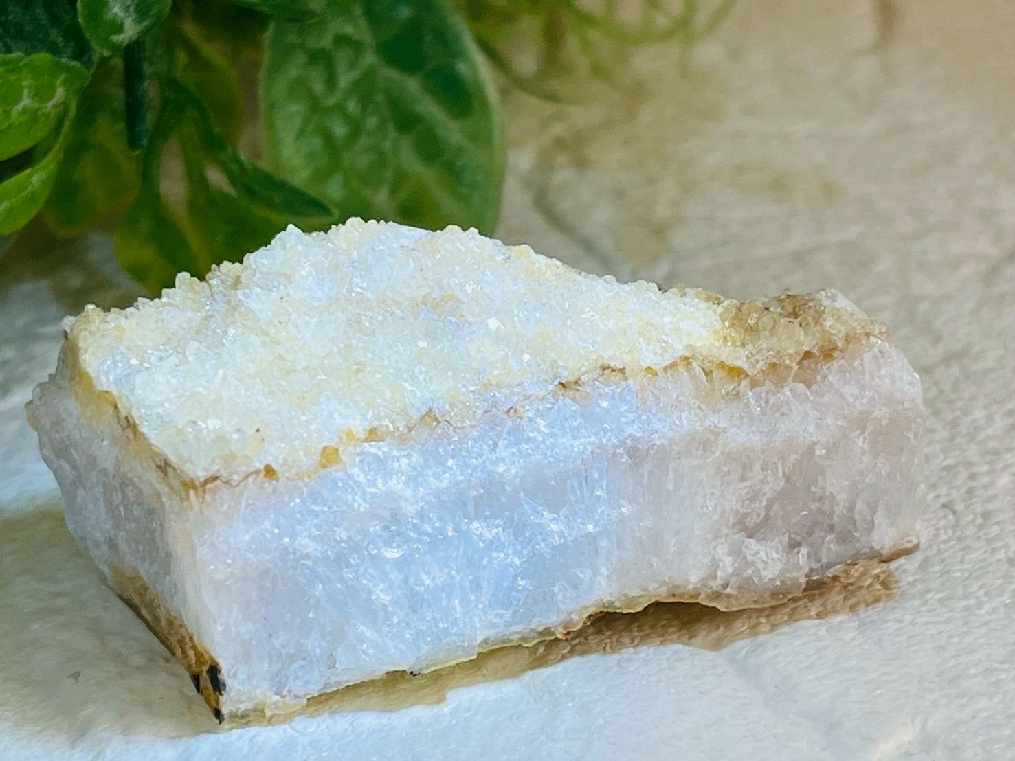 巨匠 奥村信之 ブロンズレリーフ 銅製 1992年 射手座 12月 星座 絵画