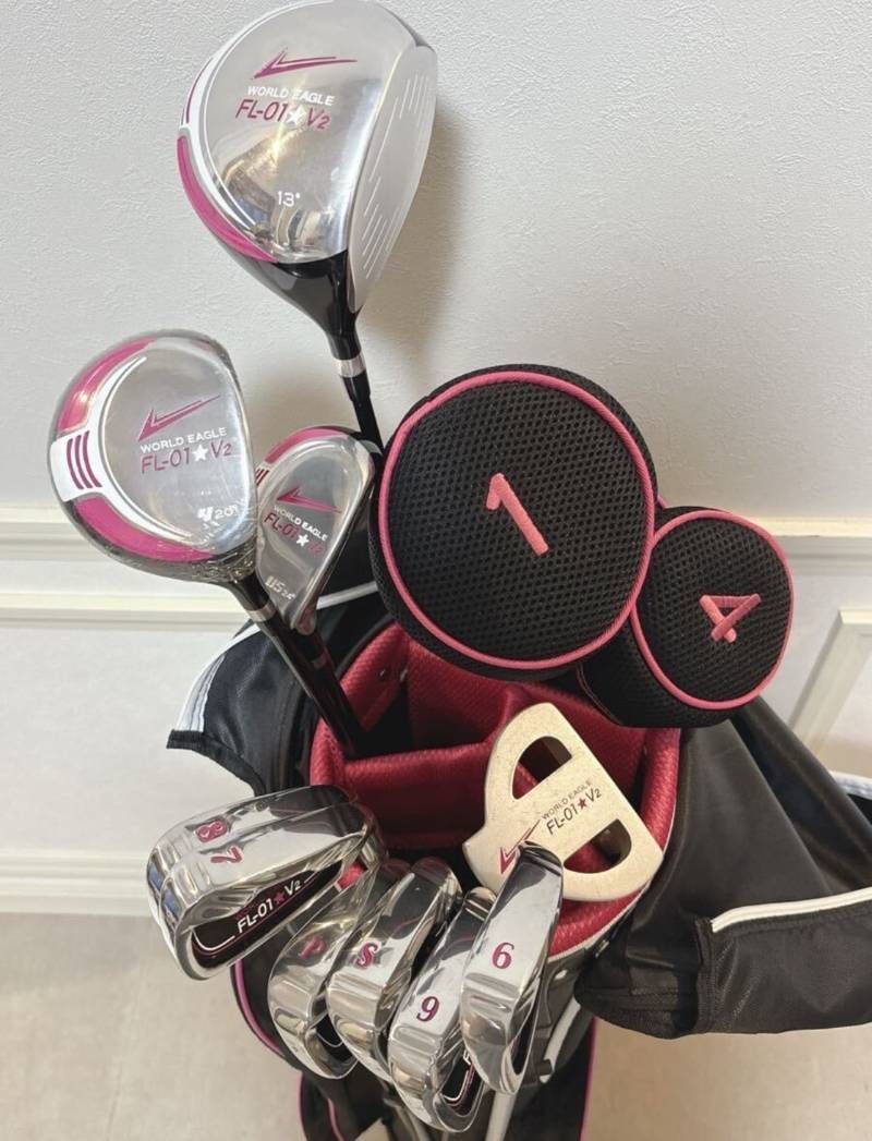 WORLD EAGLE ゴルフセット FL-01 V2 レディース アイアン 6〜9.P.S ドライバー キャディバッグ 一部