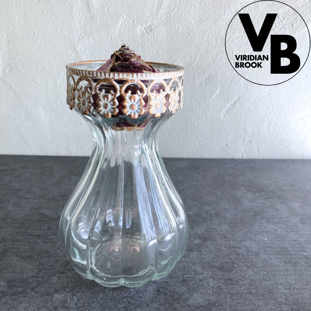 水耕栽培用瓶B】 ガラス ヒヤシンス球根 水栽培 おしゃれ - メルカリ