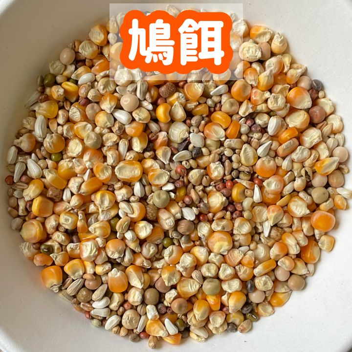 うさぎ様専用】鳥の餌セット