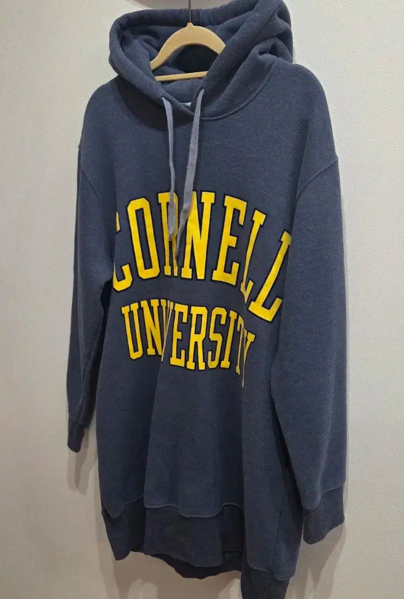 Attii コーネル大学 起毛 WHO Tシャツ