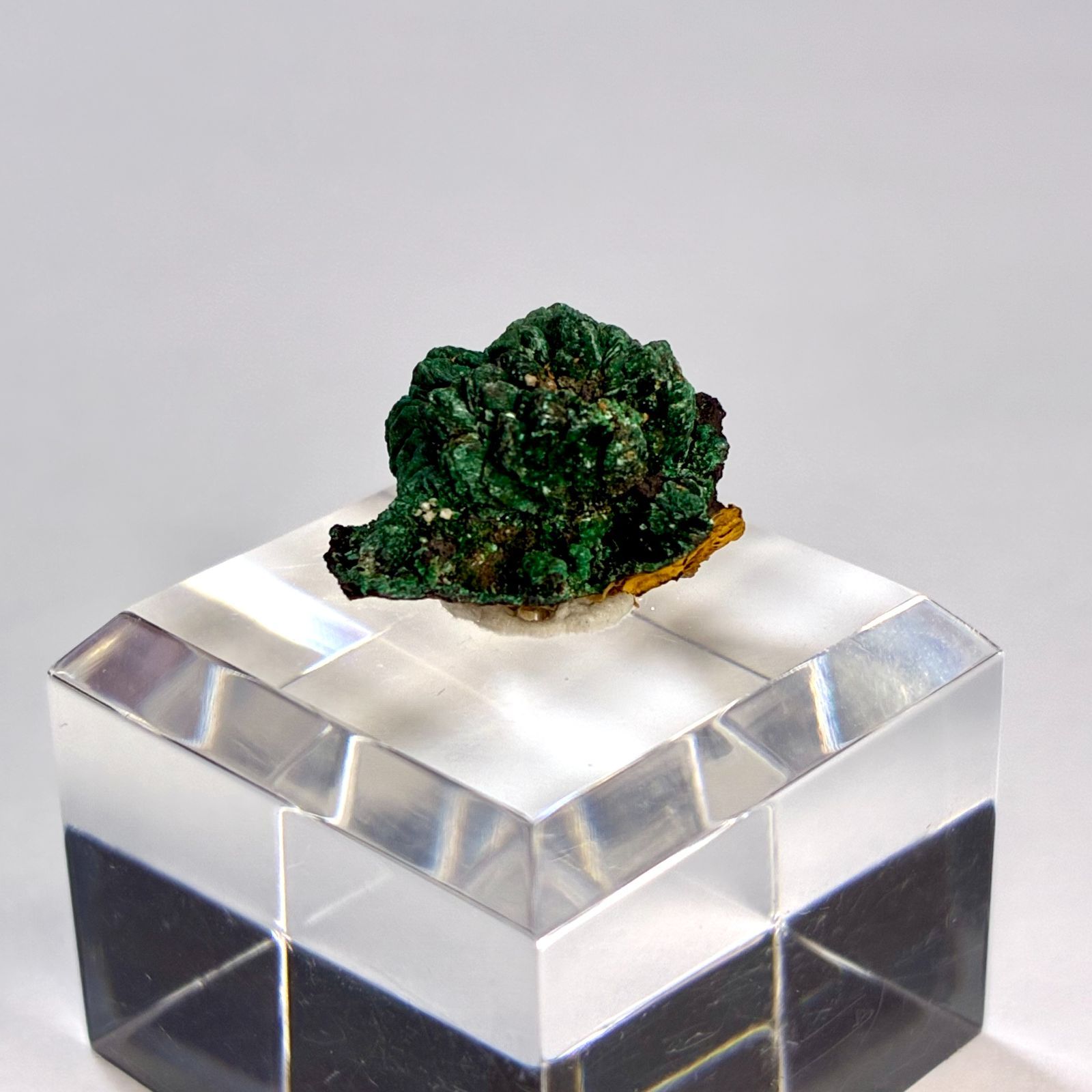 いゔどっと 1st EP Bestiary 16枚 いゔどっと 1st EP Bestiary 16枚 いゔどっと 1st EP Bestiary 16枚