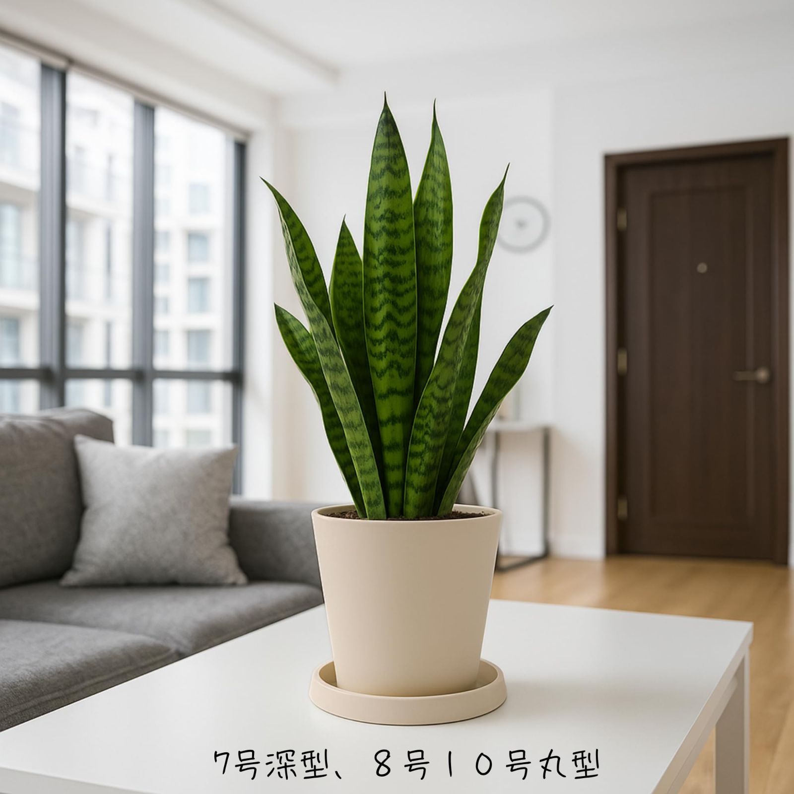 セオドア アビランド リモージュ 330 カップ＆ソーサー ② フランス