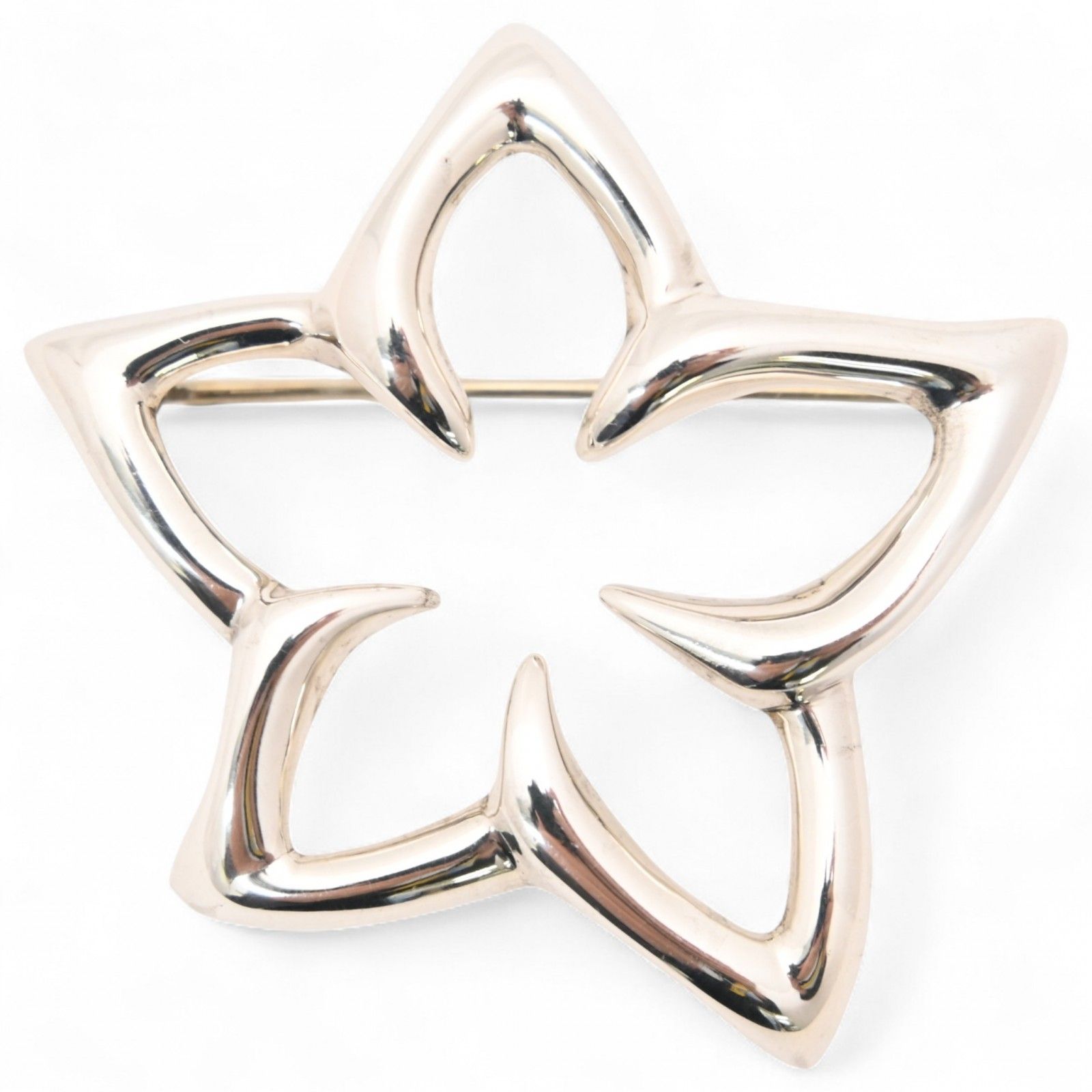 ビスマルキア ノビリス8号76cm 観葉植物 種類/ビスマルキア ノビリス