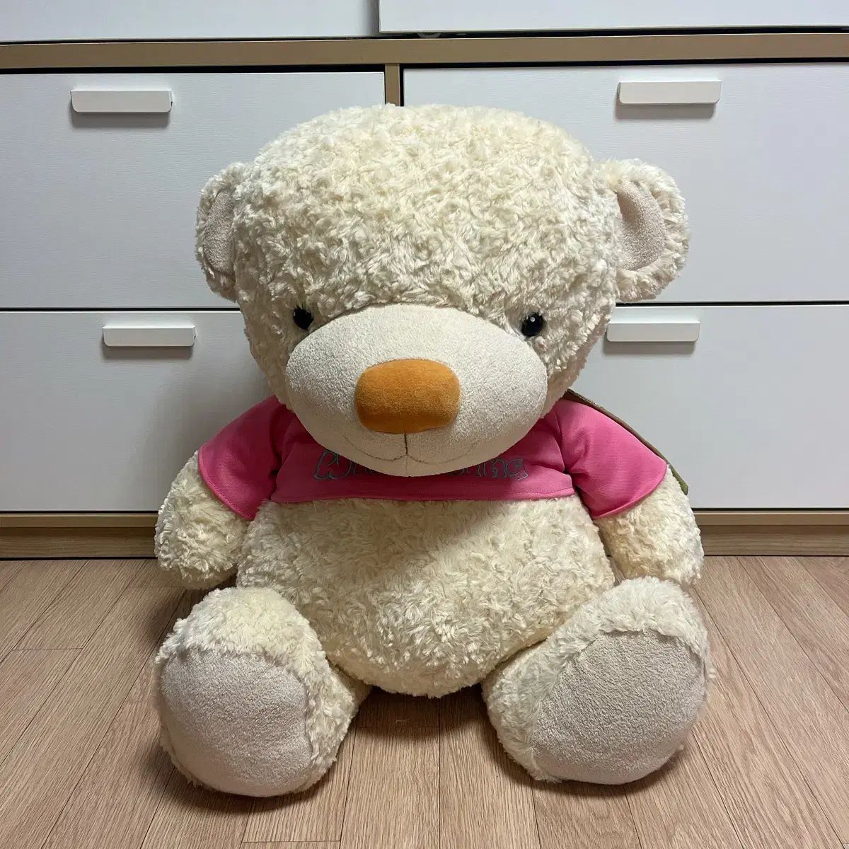 ショップ 【】おいでよ ボンゴ! おいでよ ボンゴ！｜商品情報