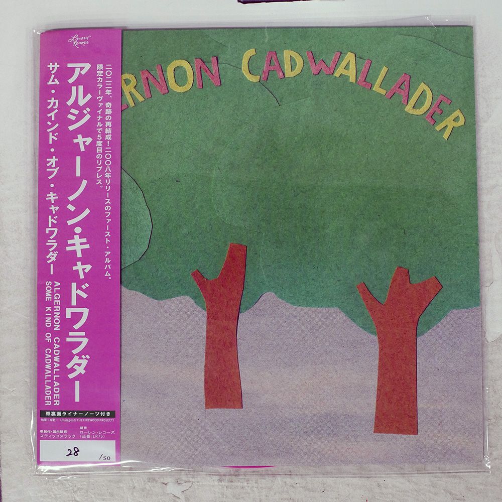 帯 US盤 ALGERNON CADWALLADER/SOME KIND OF CADWALLADER/ASIAN MAN 