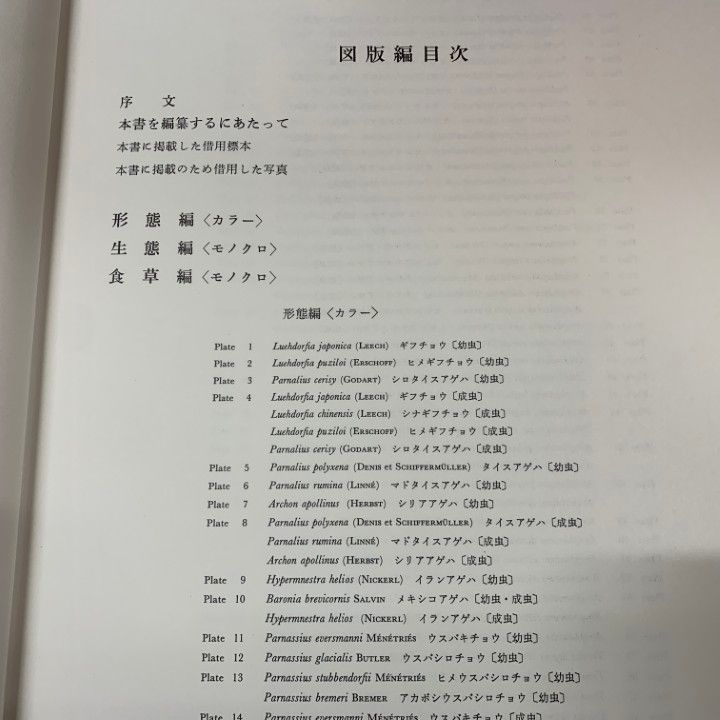 □01)【1点限り!】世界のアゲハチョウ/図版編・解説編 2冊入り/五十嵐  