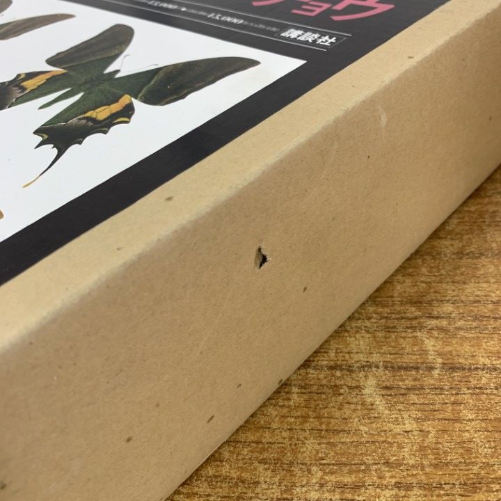 □01)【1点限り!】世界のアゲハチョウ/図版編・解説編 2冊入り/五十嵐