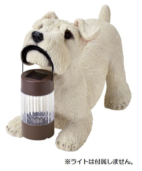 mamoruさん専用 mamoruさん専用 とももさん専用 とももさん専用 ともやさん専用 と も