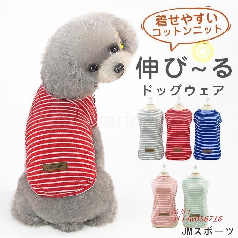 民間仕入れ品 中国唐時代の人物図 肉筆絵 激安骨 BD110A2-2