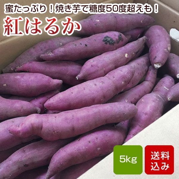 真作/浜孤嘯/木曽路図/横物/桐共箱太巻二重箱付/布袋屋掛軸HG-540