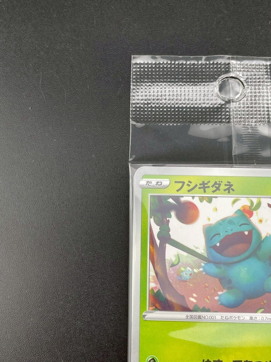 中古品】フシギダネ PROMO F 337/S-P ソード＆シールド プロモパック
