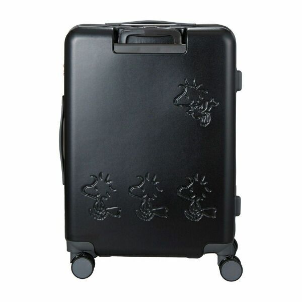 キャリーケース