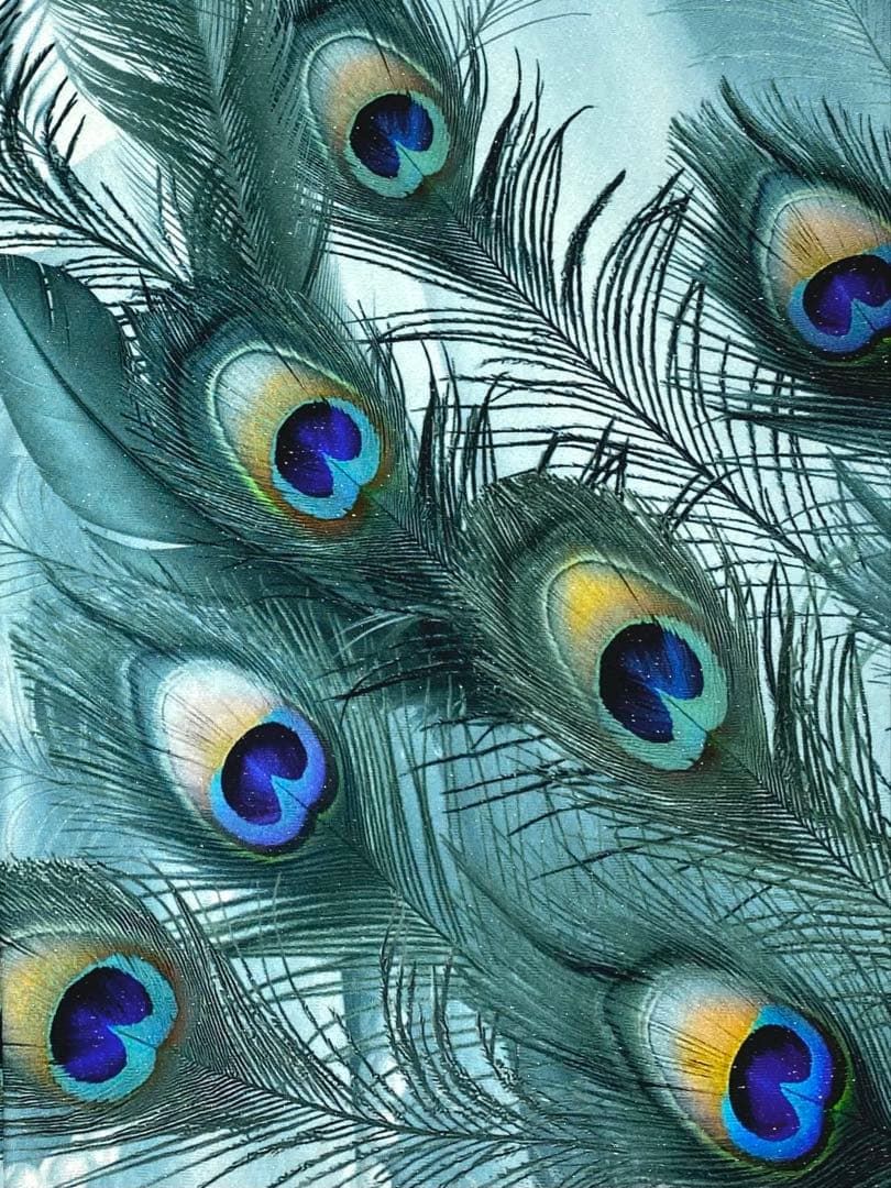 孔雀 訪問着 豪華 銀通し 仮絵羽 未仕立て品 八掛付き 正絹 大衆演劇