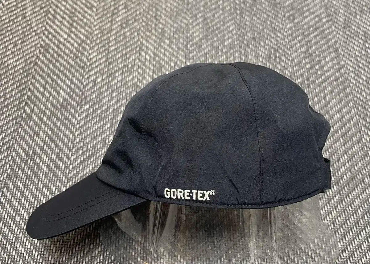  100 ザ ノース フェイス GORE TEX ジャケット ベースボールキャップ その他 アウター