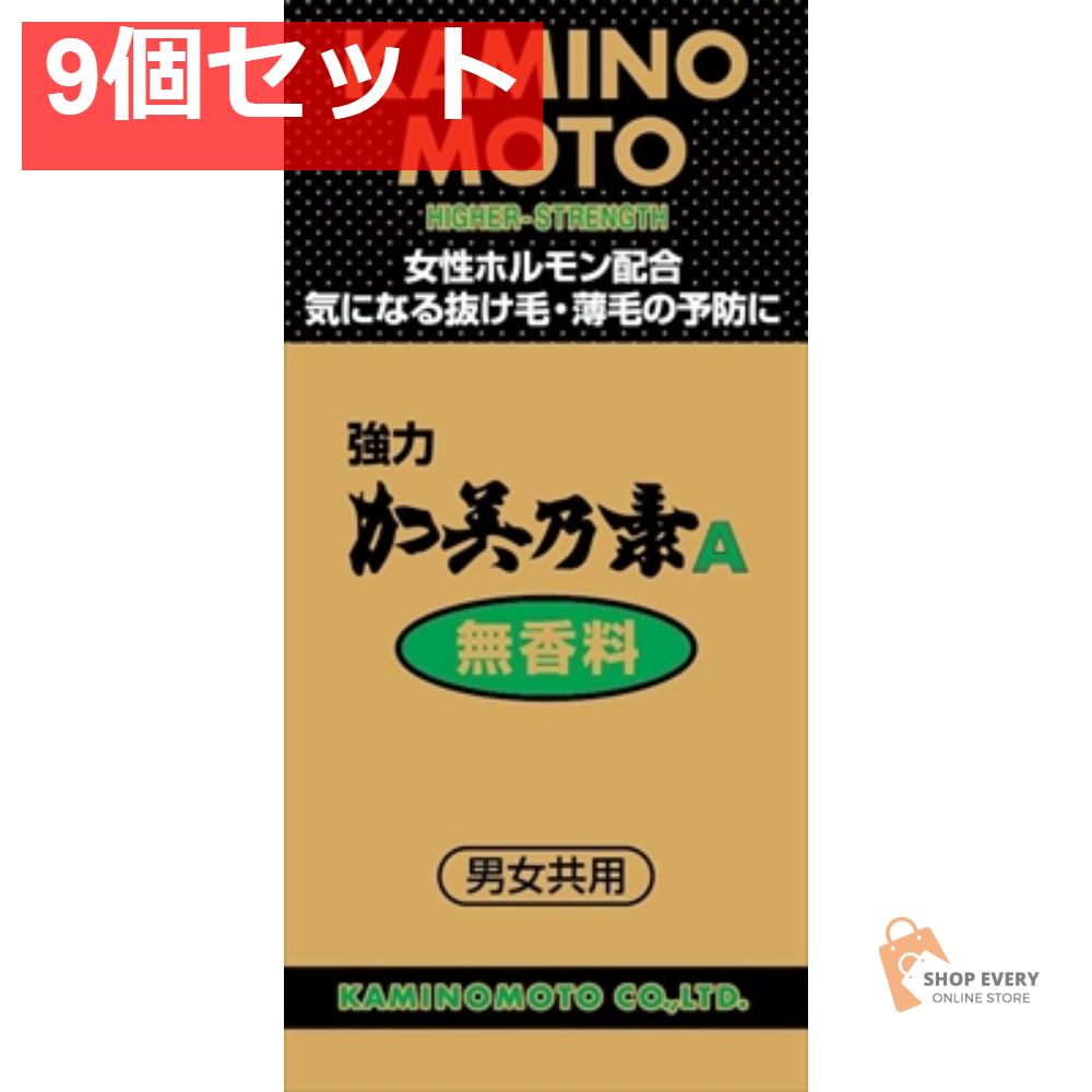 関連本2巻 ブリーチ 全巻セット 全77巻 関連本2巻 ブリーチ 全巻