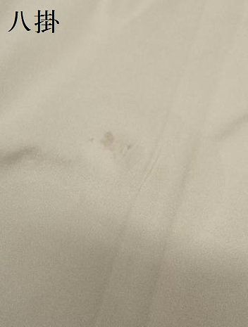 平和屋着物○本塩沢 やまだ織 鈴乃屋扱い 正絹 逸品 AABC0205zg - メルカリ