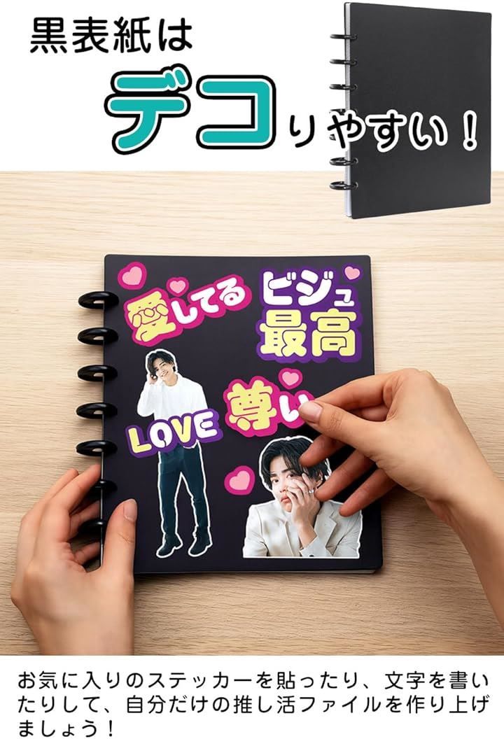 SELECTsk ポストカードホルダー ファイル 最大80枚収納可 横入れタイプ