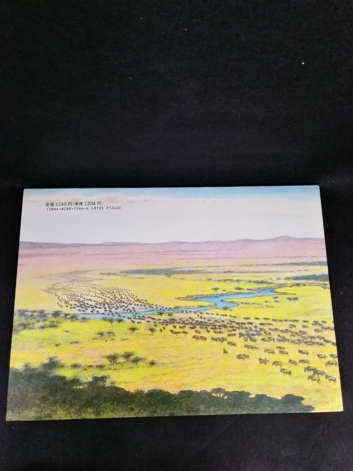 吉田遠志 動物絵本シリーズ アフリカ第2集 全5冊セット おみやげ あり