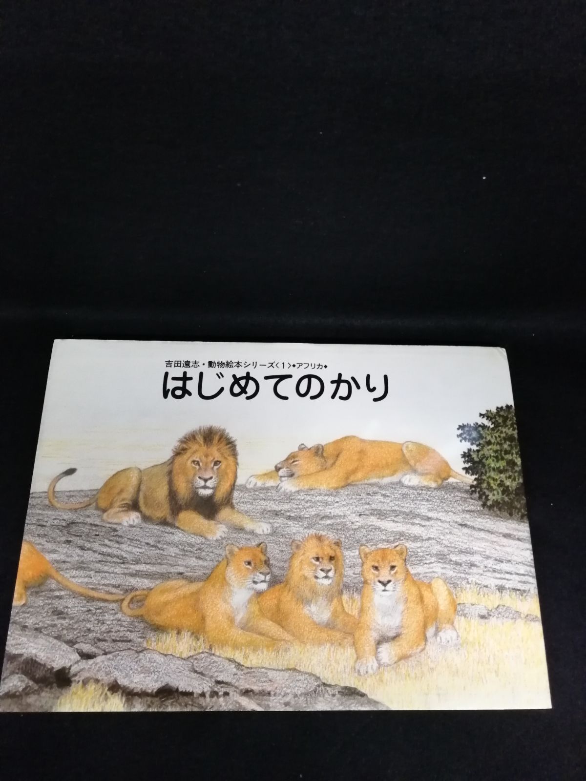 吉田遠志・動物絵本シリーズ　アフリカ　第1集1-5巻／全5巻セット Amazon.co.jp: 吉田遠志・動物絵本シリーズ アフリカ 第1集（1-5巻／1