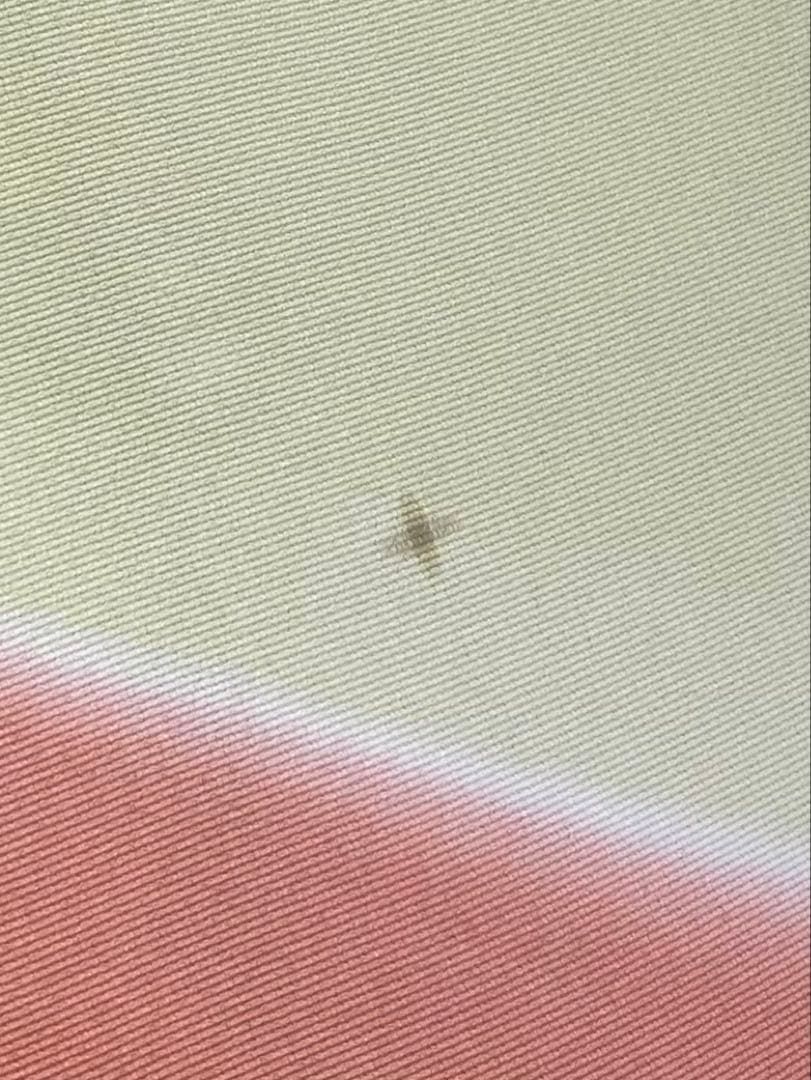 京友禅 手描き 訪問着 刺繍 金駒 金彩 正絹 躾糸付き 京友禅 手描き 訪問着 刺繍 金駒 金彩 正絹 躾糸付き