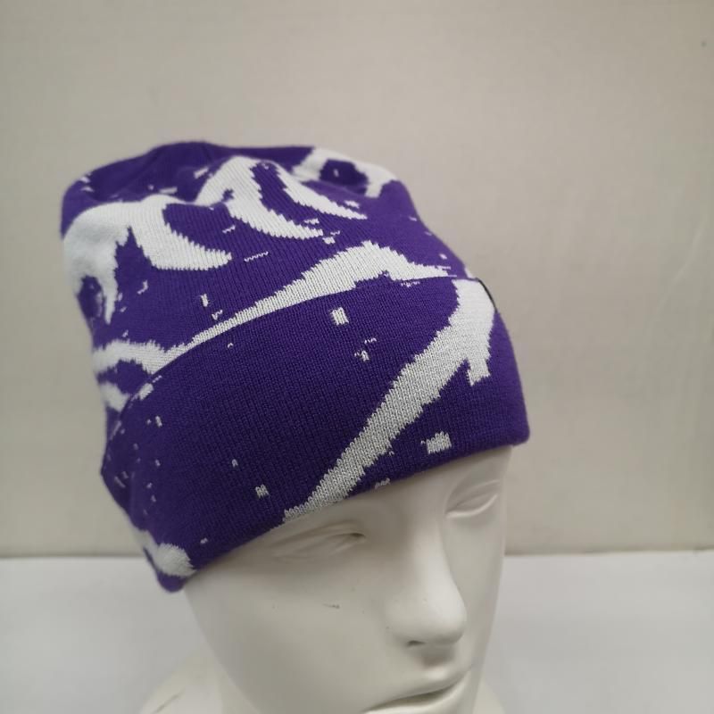 激レア ARC'TERYX ビーニー ニット帽 紫 パープル セール】TRUSS