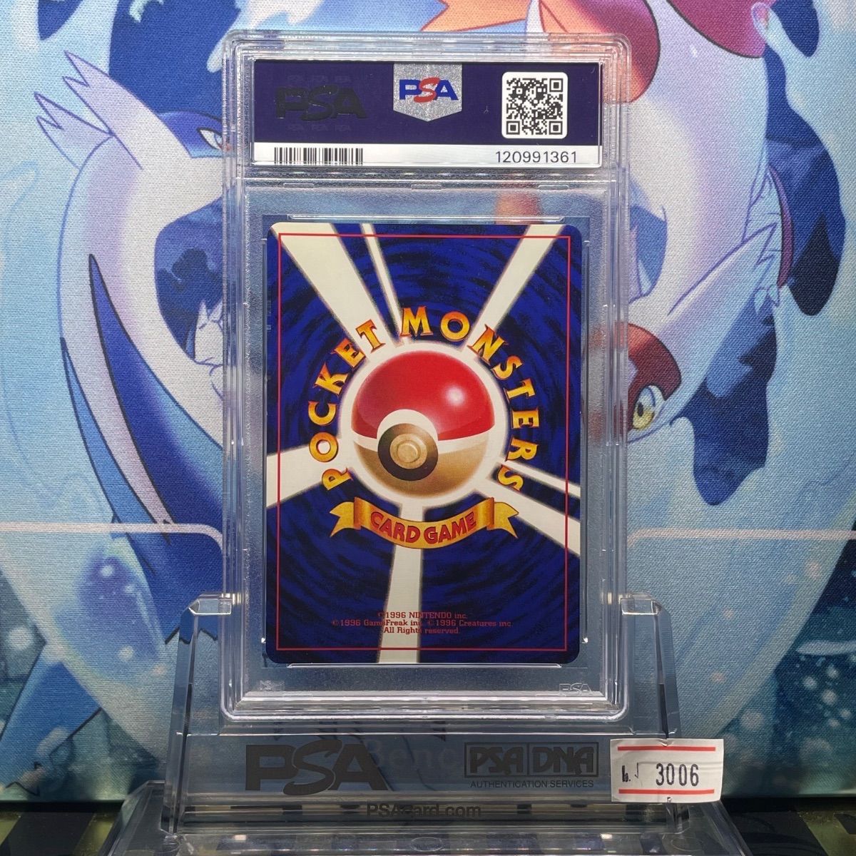 PSA8 カメックス 再販 旧裏 拡張パック第1弾 9 1996 PSA8 カメックス