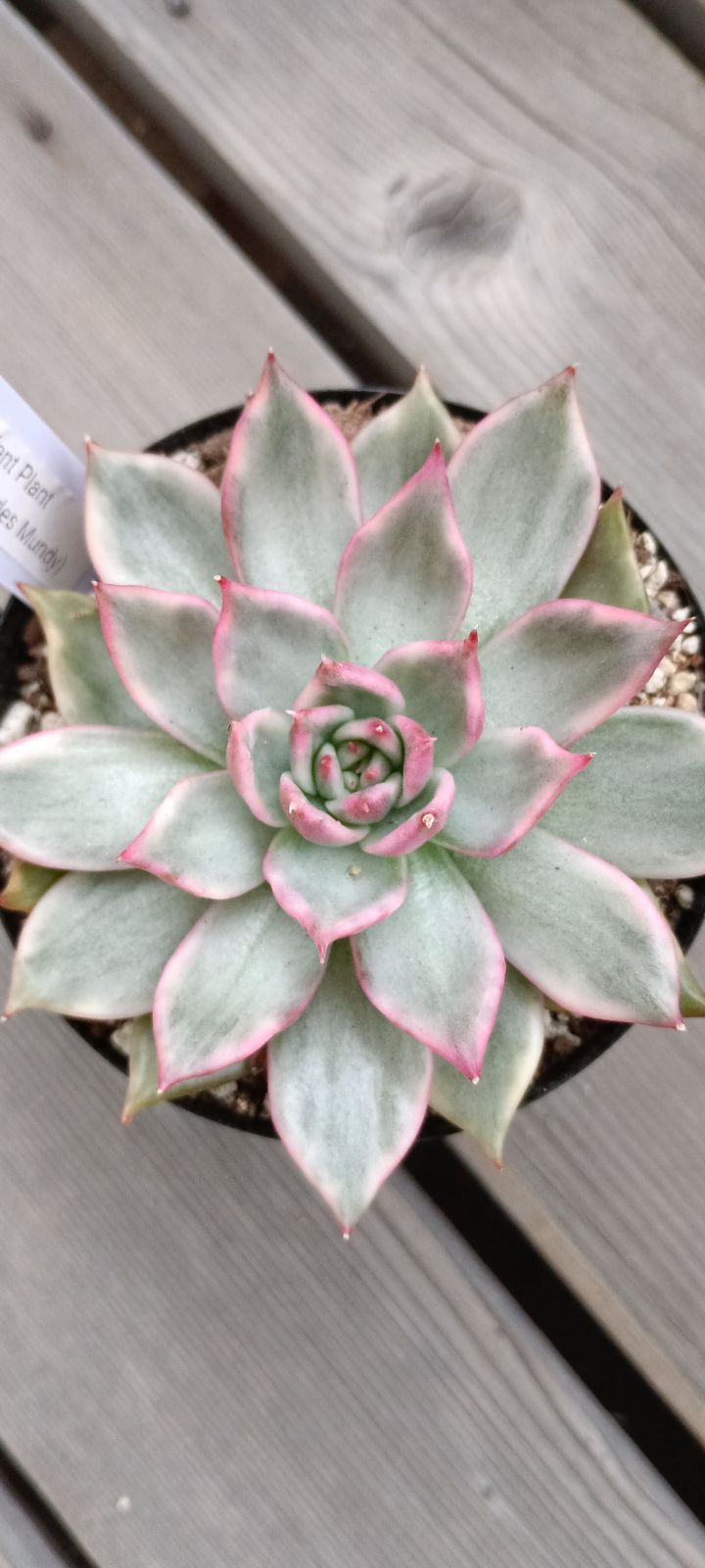 おまとめ商品 - メルカリ