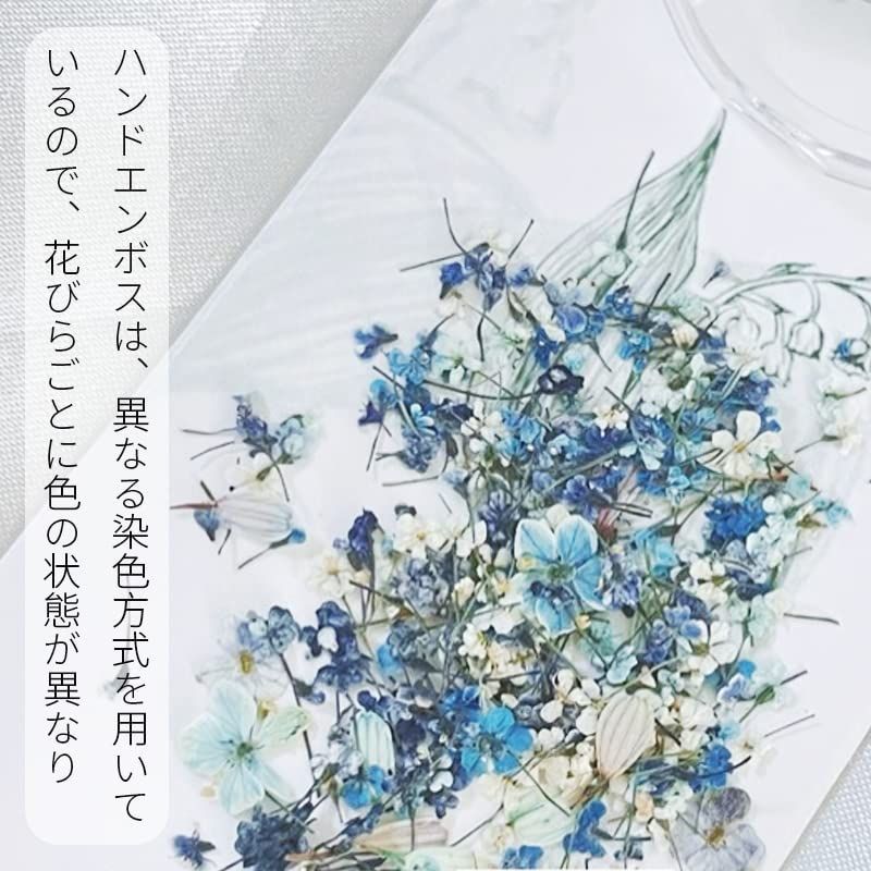 Amazon.co.jp: AAGWW ドライフラワー ネイルパーツ 押し花 天然花 花