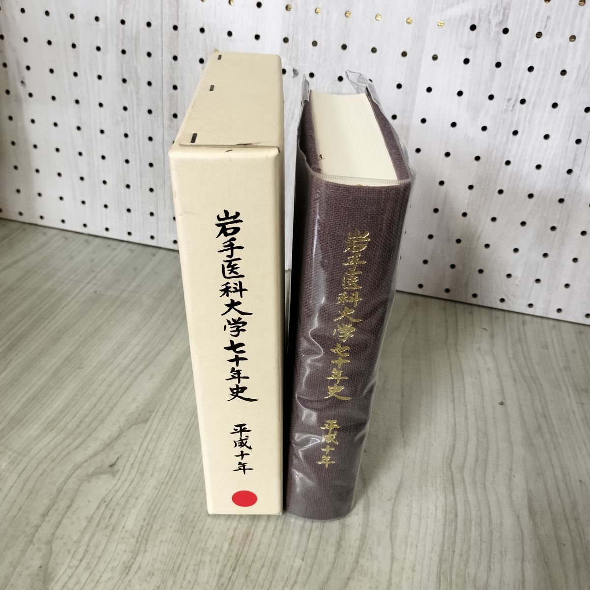 鈴木彩子 SAIKO SUZUKI VIDEO 7 ~あの日に帰ろう~ VHS